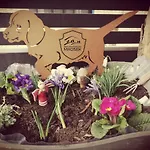 Appartamento Schlossblick *