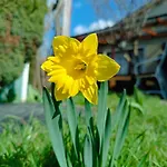 Appartamento Schlossblick *