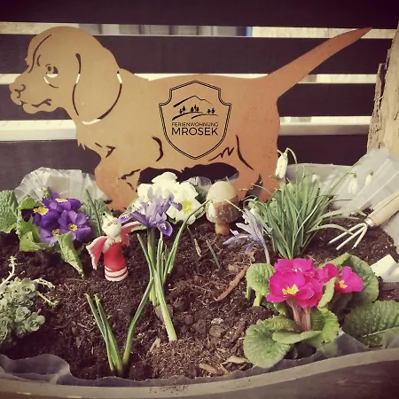 Appartement Schlossblick *