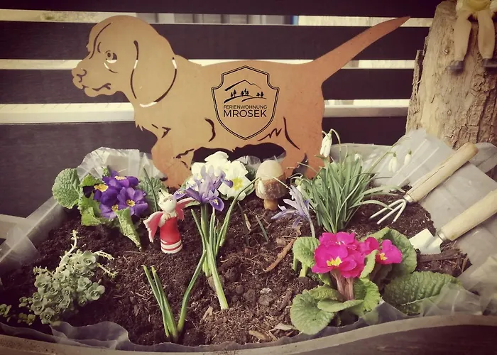 公寓 Schlossblick *