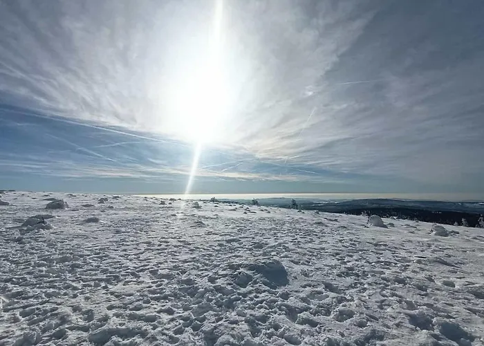 公寓 Schlossblick 布兰肯堡