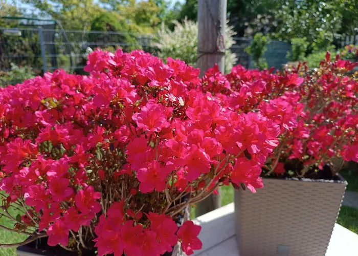 Schlossblick Lägenhet *