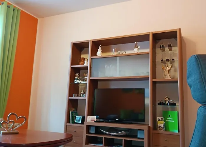 公寓 Schlossblick 布兰肯堡