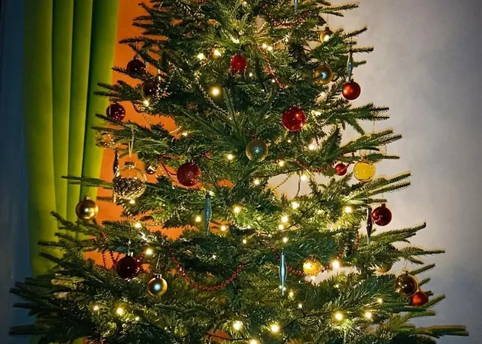 Schlossblick Lägenhet