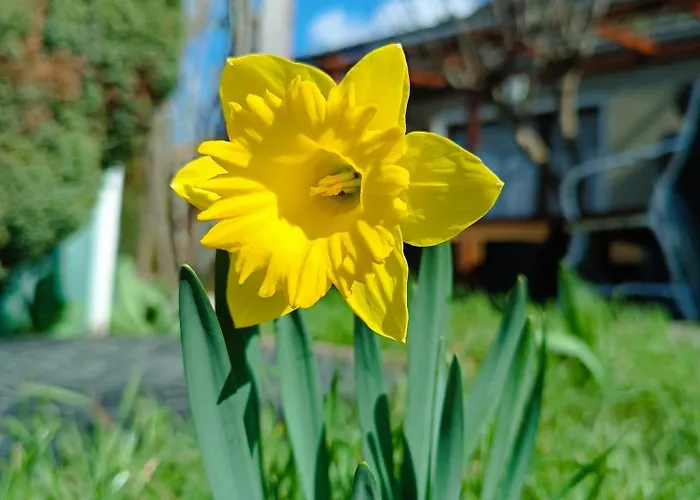 公寓 Schlossblick *